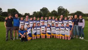 PICTURE: Locals congratulate County Champion camogie team in Tipperary after recent win