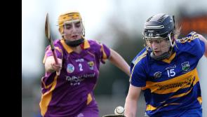 LONG READ: Tipperary All-Ireland winner Teehan keeps the faith with Offaly 