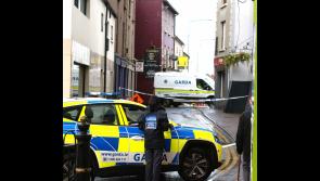 Public urged not to circulate 'disgusting' video of scene of tragic incident in Carrick-on-Suir