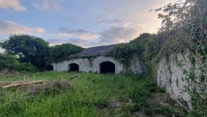 Planning victory for Tipperary group opposed to demolition of buildings on Coolmore farm