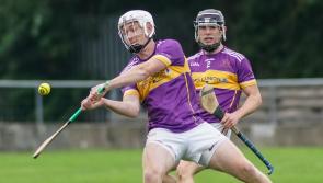 PREVIEWS: Main talking points ahead of huge weekend of Tipperary club hurling