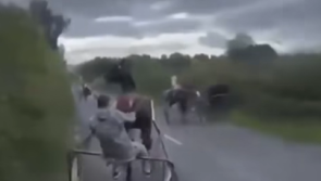 WATCH: Rider thrown in high-speed sulky crash in Tipperary as calls to ban road racing grow