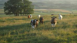 REVEALED: Over €35,000,000 in funding to be awarded to Tipperary farmers