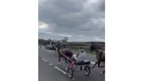 'The intimidation that was done to that man' - Tipperary sulky racing row rumbles on