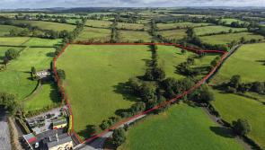 Revealed: New record for price per acre after auction of land in one Tipperary area