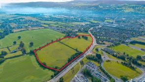 Tipperary major residential landholding to go under the hammer this month