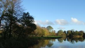 Public meeting about water quality in Thurles Municipal District planned in Templemore 