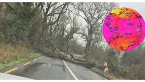 HAVOC! Storm Bram rips through Tipperary with power outages and road closures