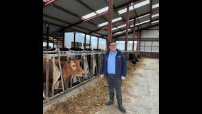 Declan Burgess welcomes new agri planning exemptions to support farmers and cut red tape