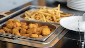 School meals in Ireland 'akin to airline food' says renowned celebrity chef