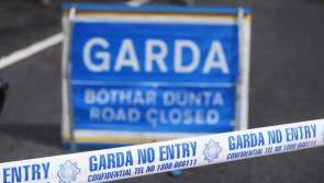 RIP: Driver flees scene of crash that killed woman (30s) on Tipperary/Limerick road 