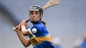 Rising stars: Top Tipperary players join coaching team for this club's summer camp