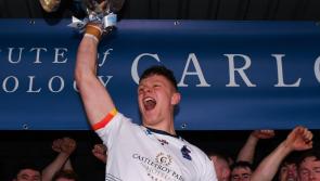 Tipperary hurler wins Fitzgibbon Player of the Year accolade