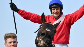 Allaho takes the honours in the big Steeplechase at Clonmel today!