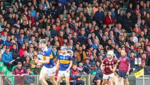 Preview: Novel minor final has all the makings of a fantastic contest