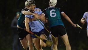 Fitzgibbon Cup: See how Tipperary players fared after the first week of action