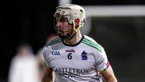 Two Tipperary hurlers named on Fitzgibbon Cup  Team of the Year 
