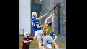 IN PICTURES: Future looks bright for Tipperary as U17 players win Celtic Challenge final