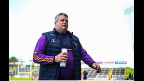 BREAKING: Darragh Egan and the Wexford senior hurlers part ways after tough 2023