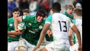 Former Munster and Ireland star believes Tipperary's Brian Gleeson is ready for the big stage