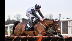 Tipperary-owned Kala Conti scores at Leopardstown Racing Festival