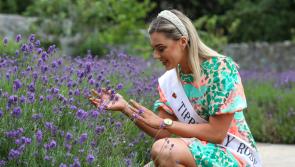Rose Aisling O'Donovan will fly the flag for Tipperary on national TV Monday night 