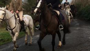 Watch: North Tipperary Foxhounds hunting around Dromineer