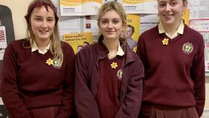 Fifth-year students host Daffodil Day at the Presentation Thurles