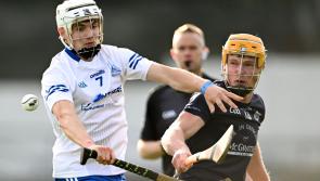 IN PICTURES: See all the drama and action from an incredible county final day in Thurles