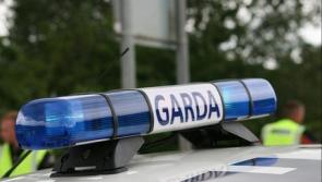 Raiders steal jeeps, a trailer, gates and other property from farms in the Comeragh Mountains area