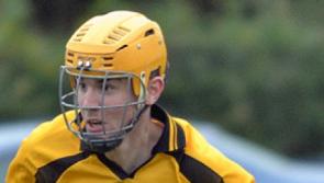 New officers elected at Knockavilla/Donaskeigh Kickhams GAA Club