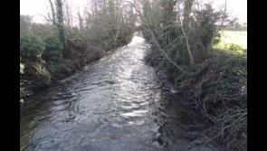 Tipperary man fined by IFI for destruction of fishing habitat on well-known river