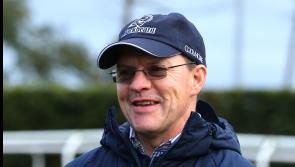 Tipperary racing trainers in the hunt for over €500,000 in prize money at Naas