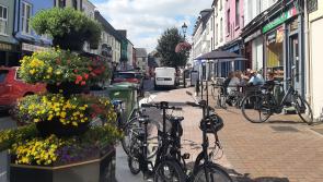 Going Green: Tipperary County Council wants to hear your thoughts on climate action