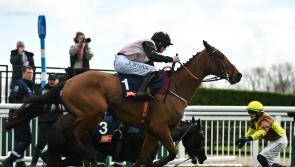 Bob Olinger will carry Tipperary hopes at Dublin Racing Festival at Leopardstown