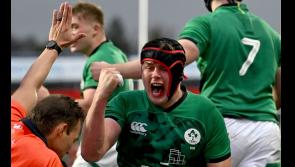 Tipperary's Brian Gleeson the player of the match as Ireland complete Grand Slam double