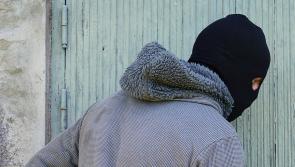 Four men attempt break-in at rural Tipperary home - Gardai seek your help