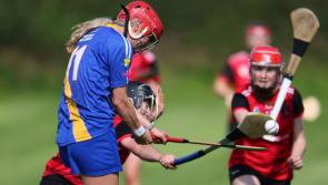 CAMOGIE ROUND-UP: Toomevara claim big win while Drom & Inch down Sarsfields