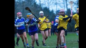 Knockavilla Kickhams come out on top of a tightly contested minor camogie decider