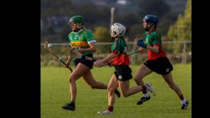 REPORTS: Semi final wins for Drom and Clonoulty in senior camogie championship