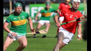 Team of the Week: Premier Intermediate club hurling - Round 2