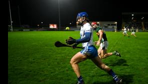 Son of former Tipperary player and manager makes hurling debut for Waterford