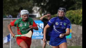 Senior Camogie: Round up of opening weekend of championship action