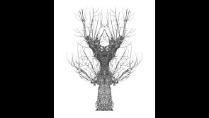 Check out this Tipperary exhibition before it ends this weekend