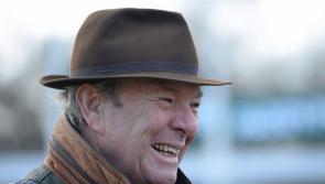 Tipperary trainer on the list as racehorse trainers open yards to the public