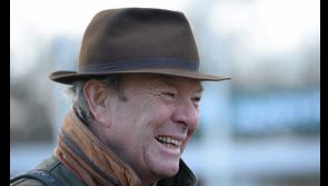 Tipperary trainer's horse has now won over fences and hurdles and on the flat 
