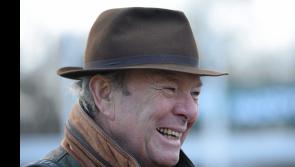 Open morning in Tipperary with one of Ireland's best-known racehorse trainers  