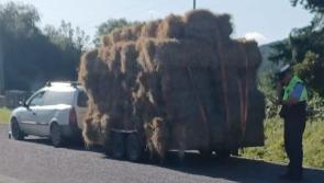 'Last straw' for gardaí as they seize this vehicle for very obvious reason