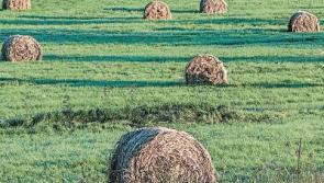 Tipperary farmers should be allowed make hay while the sun shines