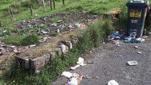 Tourists appalled by rubbish dumped at Comeragh Mountains beauty spot near Clonmel